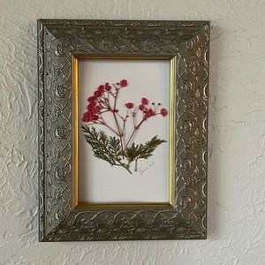 Dried Pressed Floral Wall Art In Hues of Pink and Green